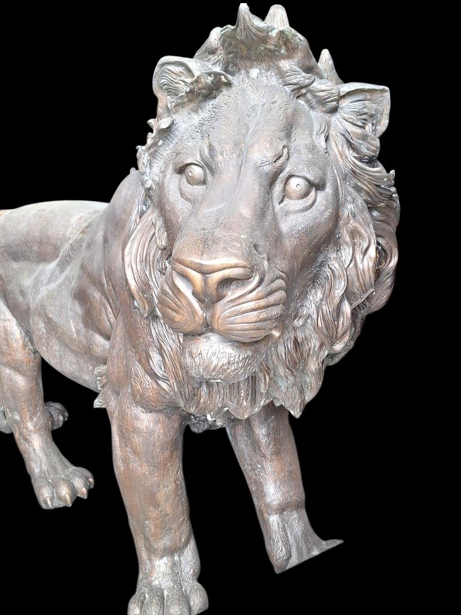 A pair of very large bronze lions