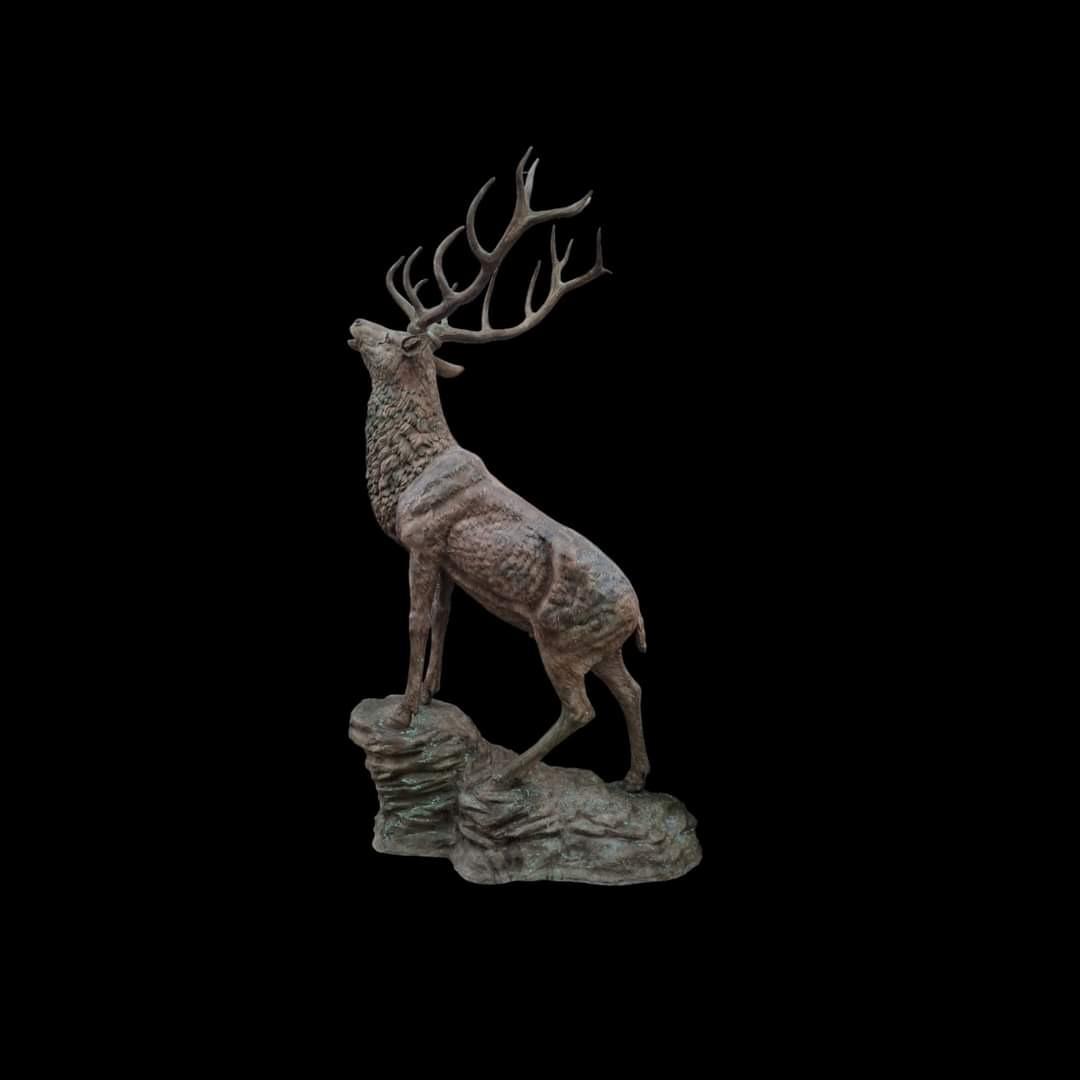 Bronze deer ideal to decorate a nice garden, gate entrance, fountain or pond. .