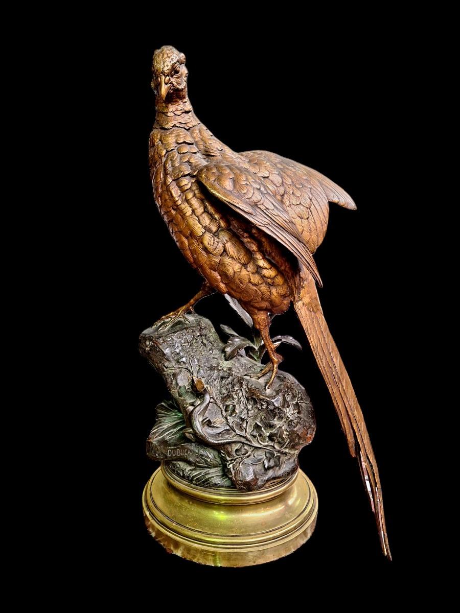 Bronze Pheasant and lizzard ,Dubucand.