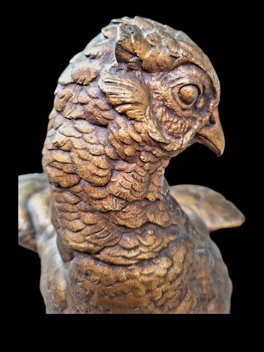 Bronze Pheasant and lizzard ,Dubucand.