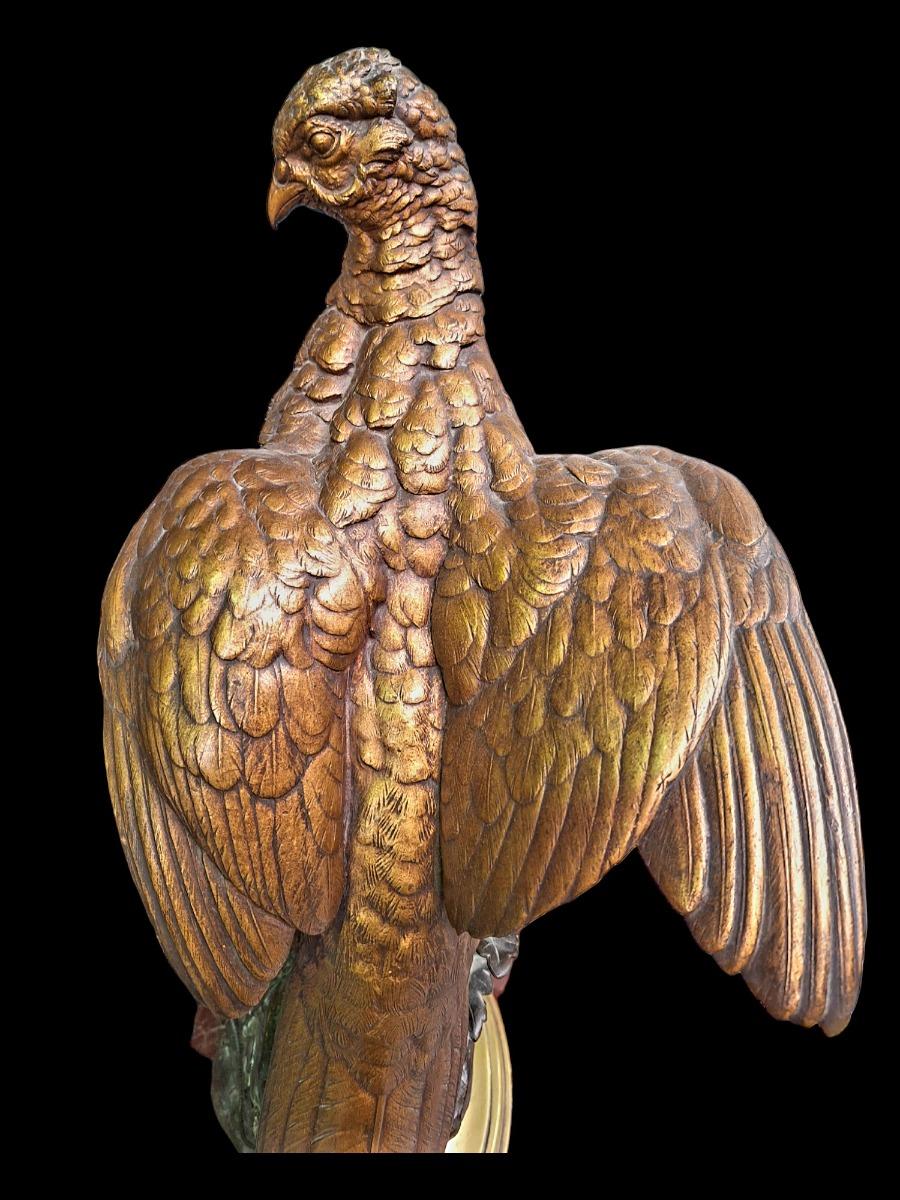 Bronze Pheasant and lizzard ,Dubucand.