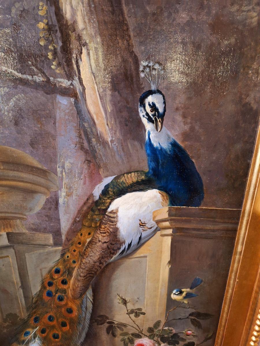 Large and very decorative painting with peacock and birds in a guilded frame from wood with stucco