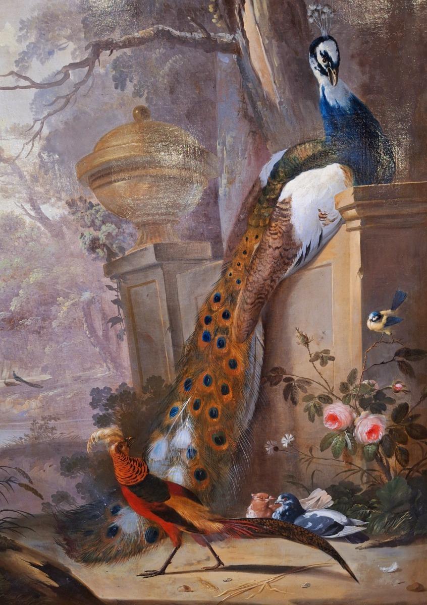 Large and very decorative painting with peacock and birds in a guilded frame from wood with stucco